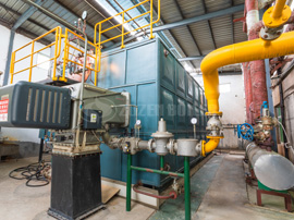 20噸SZS冷凝式燃?xì)庹羝仩t現(xiàn)場